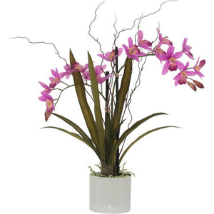HOT PINK ORCHID IN POT 51CM