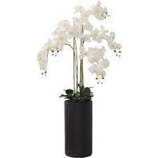 WHITE REAL TOUCH ORCHID 135CM